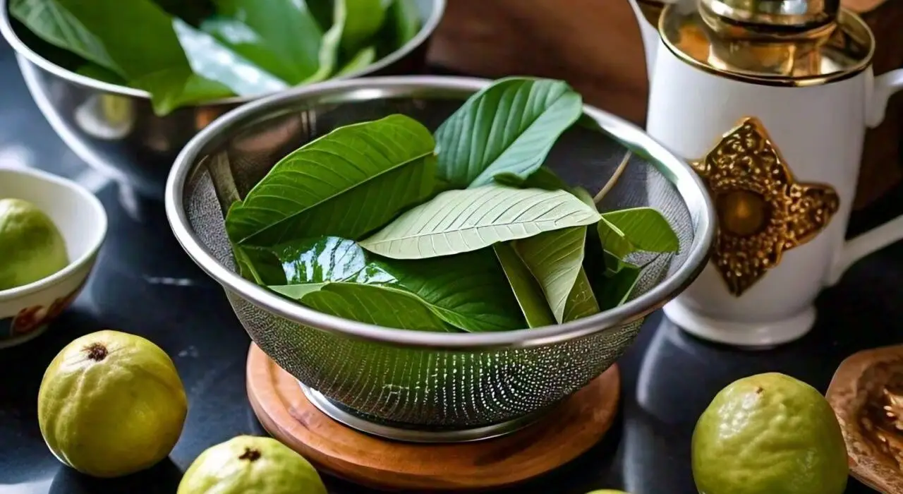 Incredible Benefits of Guava Leaves