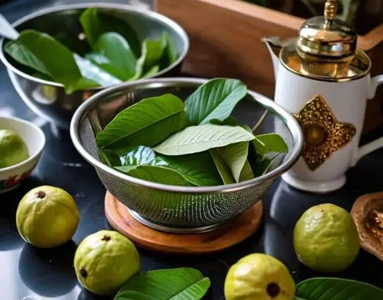 Incredible Benefits of Guava Leaves